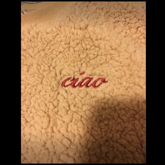 **SOLD**Forever 21 Teddy Sweater - Picture 5 of 5